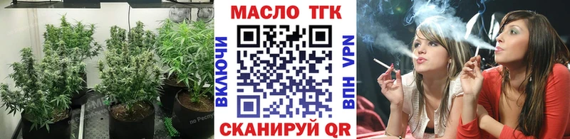 Купить закладки  Карасук  ТГК жижа 