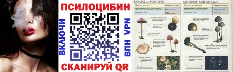Псилоцибиновые грибы мицелий  Купить где  Карасук 